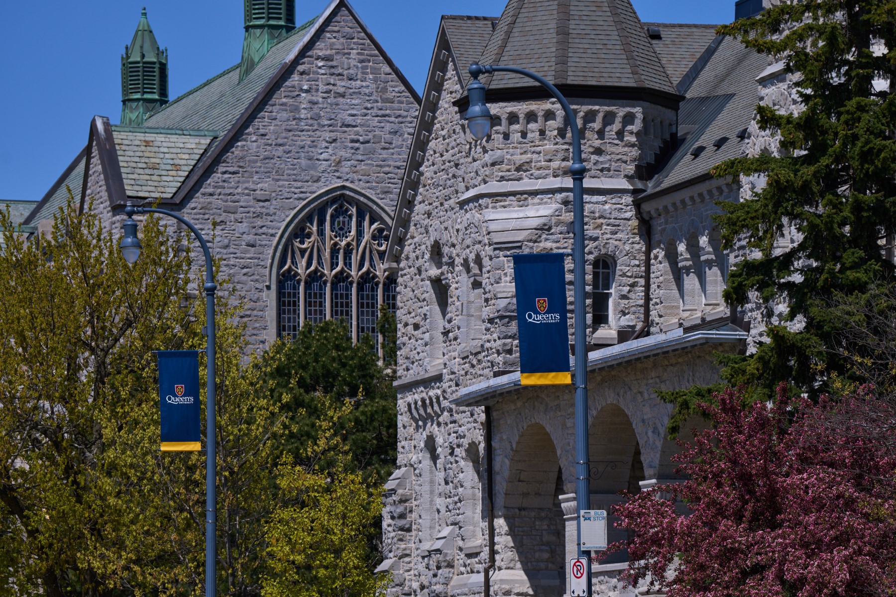 Queen (band) visual data 3